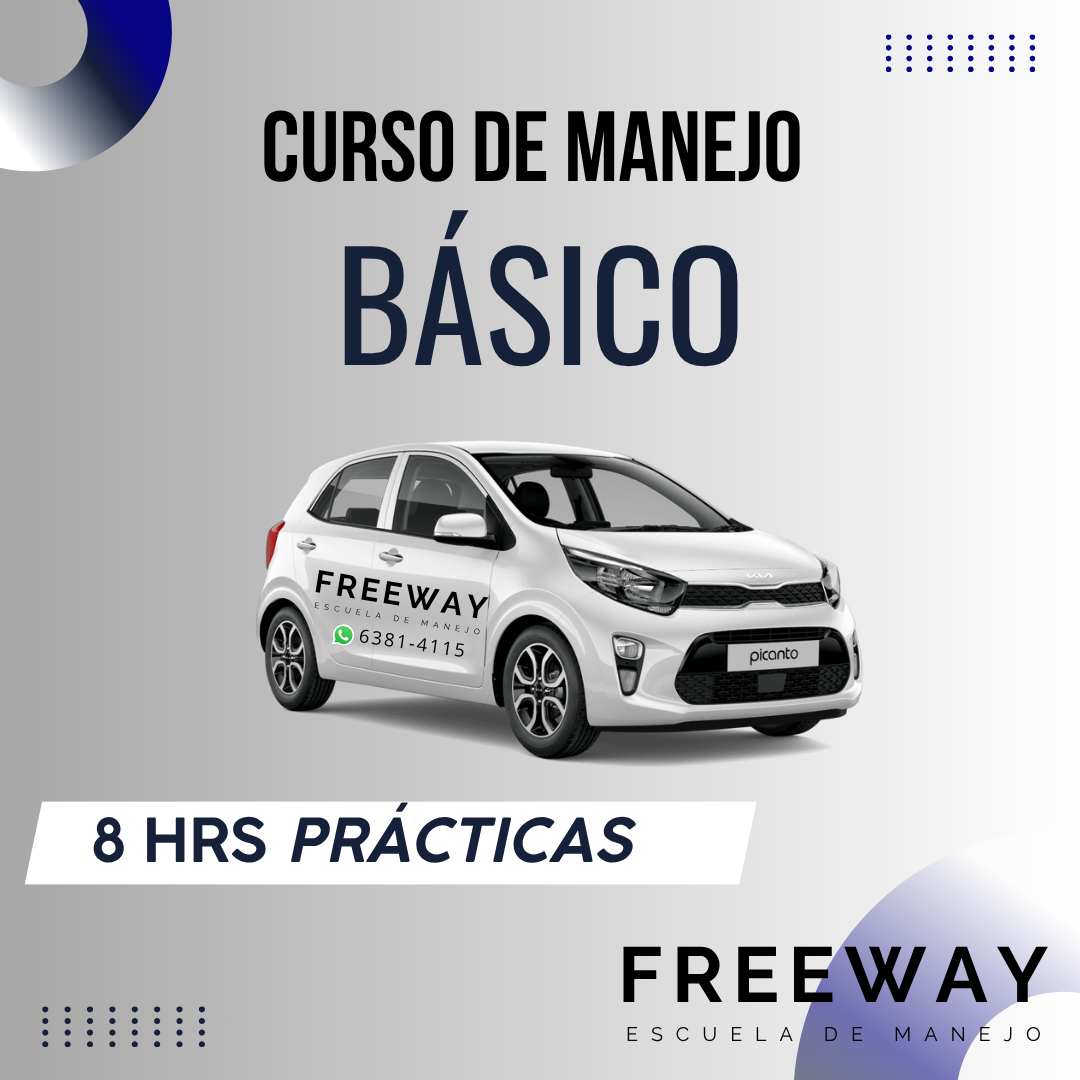 Paquete Básico Auto